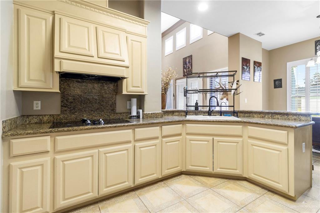 4004 Persimmon Drive, Palmhurst, Texas image 8