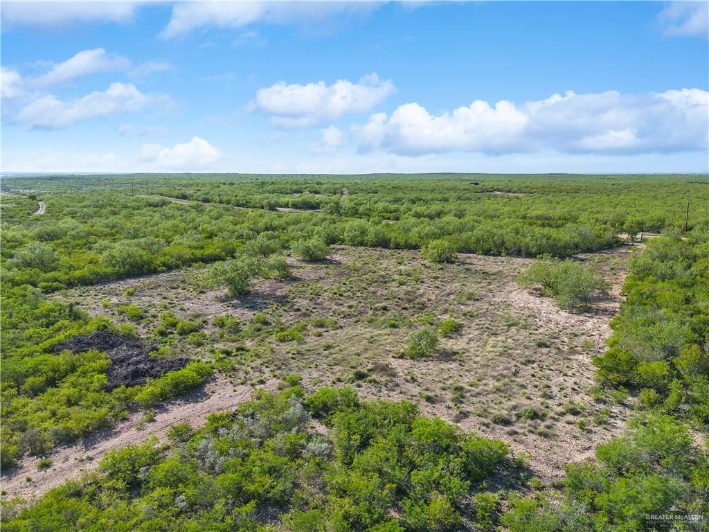136 Paseo De La Mulada Road, Rio Grande City, Texas image 6