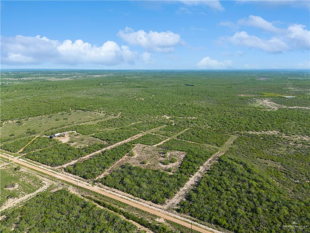 136 Paseo De La Mulada Road, Rio Grande City, Texas image 8