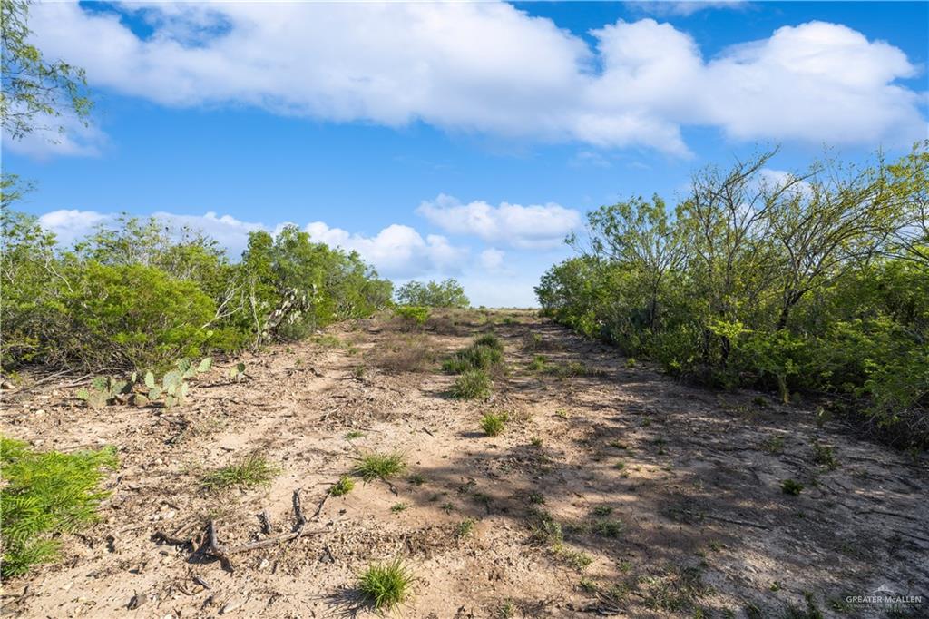 136 Paseo De La Mulada Road, Rio Grande City, Texas image 3