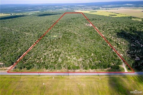 Vacant Land For Sale - N Brushline Road<br/> Hidalgo County, Edinburg, TX 78542