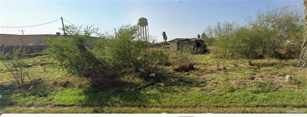18021 Washington Palm Drive, Penitas, Texas image 1