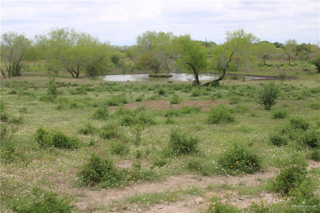 Fm 430 Road, Encino, Texas image 1