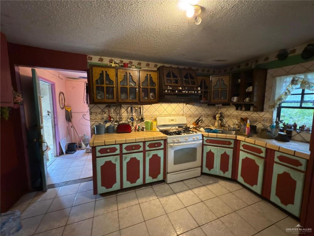 16787 E Fm 490 Road, Edinburg, Texas image 6