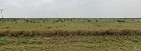 Vacant Land For Sale - TRACT 11 Fm 490<br/> Starr County, Rio Grande City, TX 78582