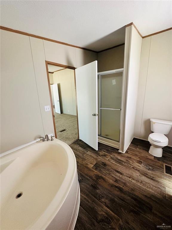 3002 Nikki Lane, Edinburg, Texas image 20