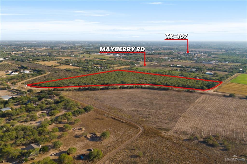 00 N Conway Avenue, Mission, Texas image 3