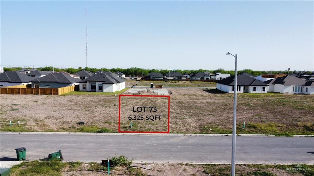 2909 E Tamarindo Street, Hidalgo, Texas image 1