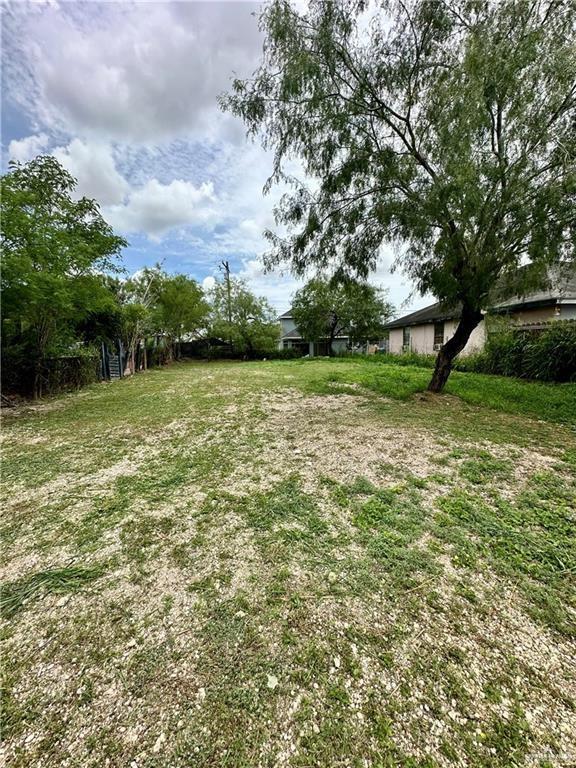 7413 S Steve Lane, Pharr, Texas image 1
