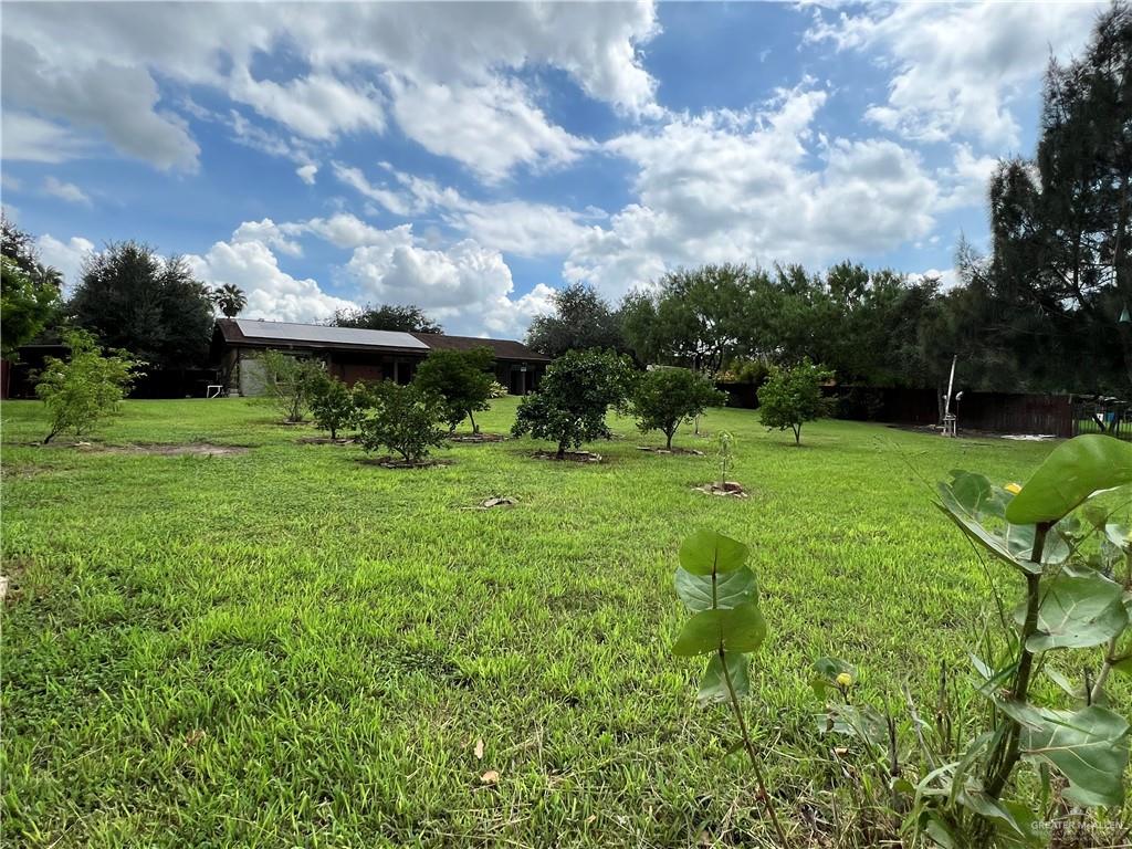 206 E Resaca Drive, Los Fresnos, Texas image 33