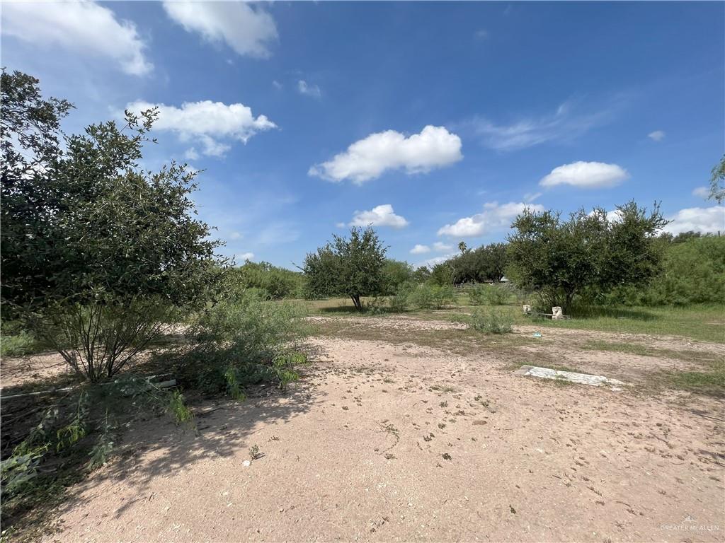 15841 E Mile 19 Road, Edinburg, Texas image 6