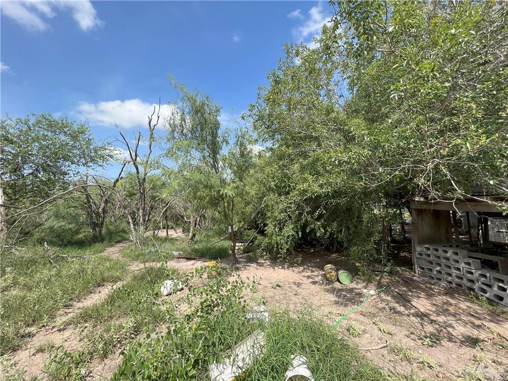15841 E Mile 19 Road, Edinburg, Texas image 3
