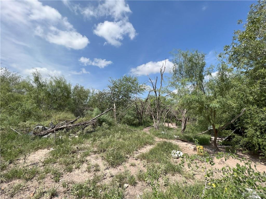 15841 E Mile 19 Road, Edinburg, Texas image 4