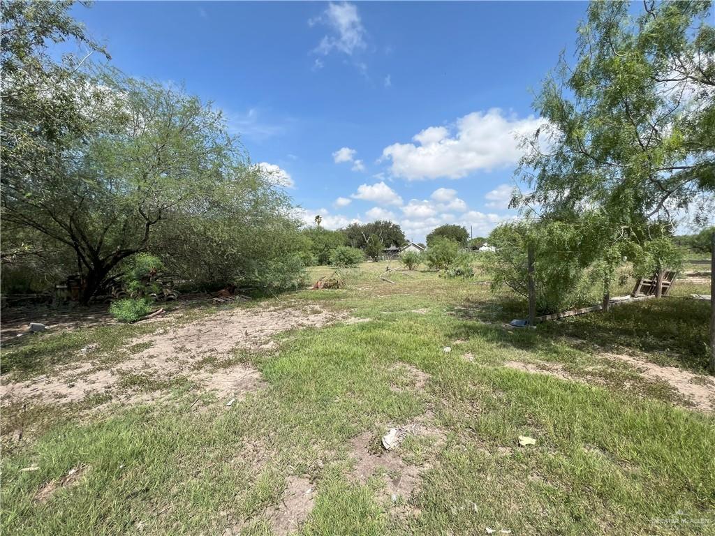 15841 E Mile 19 Road, Edinburg, Texas image 2