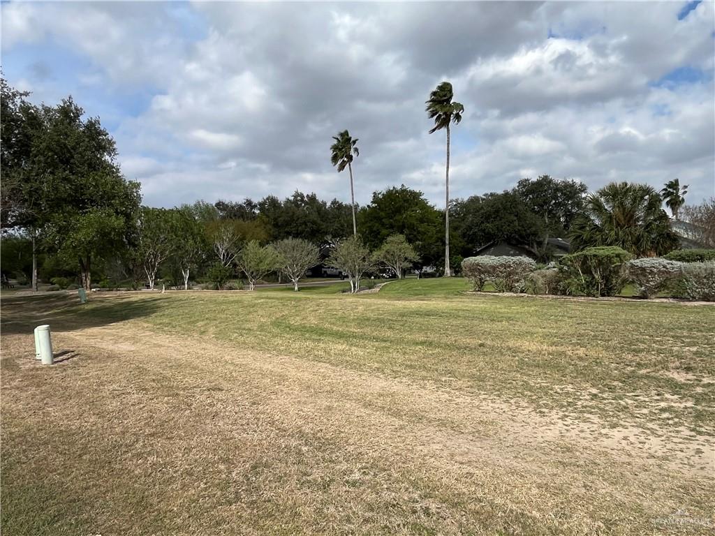 834 Citrus Drive, Alamo, Texas image 13