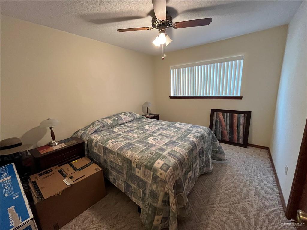 834 Citrus Drive, Alamo, Texas image 10