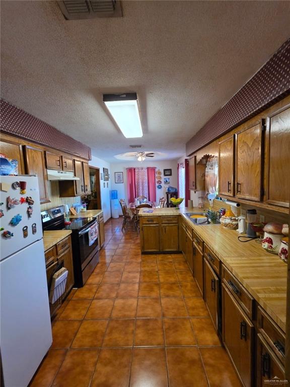 1241 W Bluebonnet Street, Rio Grande City, Texas image 4