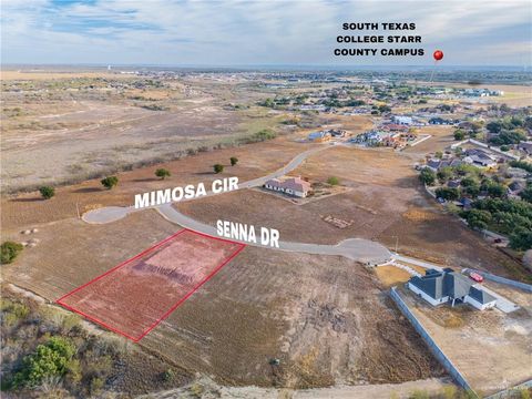 Vacant Land For Sale - 00 Senna Drive<br/> Starr County, Rio Grande City, TX 78582