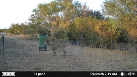 Vacant Land For Sale - TRACT 2 Fm 2687<br/> Zapata, TX 78076