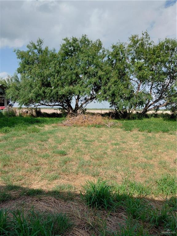 33233 Longoria Drive, San Benito, Texas image 9