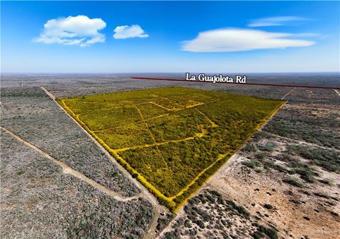 Vacant Land For Sale - 315 Guajolote Ranch Road<br/> Starr County, San Isidro, TX 78588