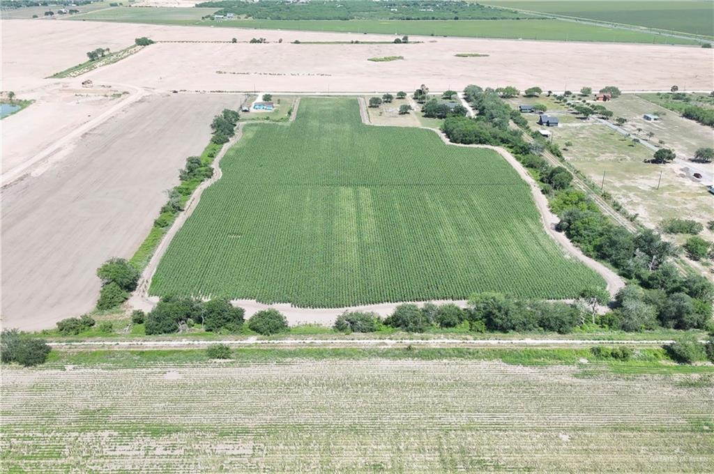 0000 Norene Drive, Elsa, Texas image 3