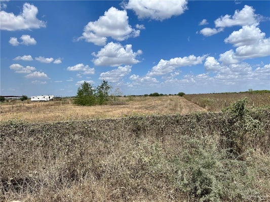00000 RANCHO TOLUCA ROAD, PROGRESO, TX 78579 - Image 7a5e7ffd7b329d4e81daf93345fe7fcd/664958546