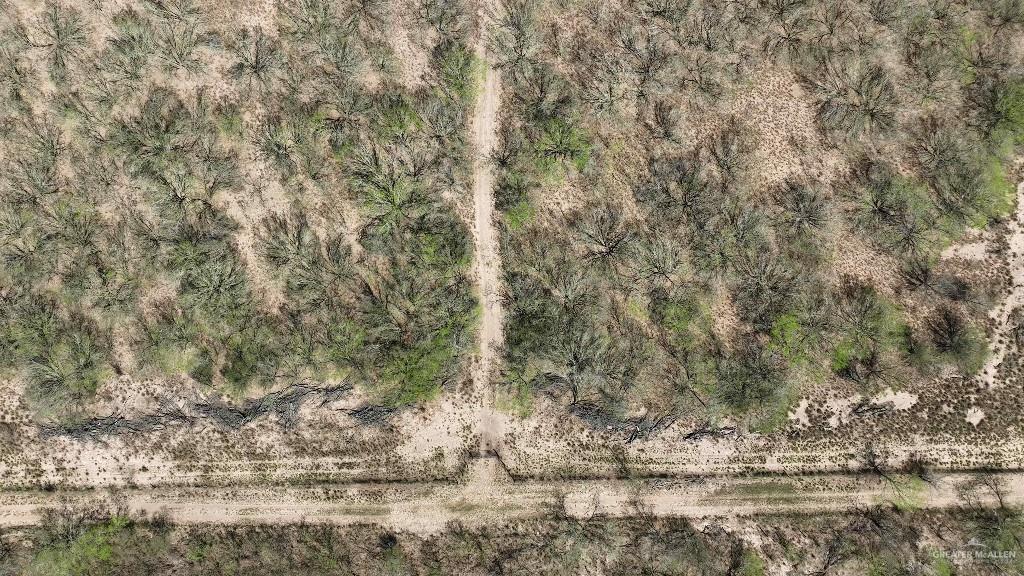 29101 Mile 17 1/2 Road, Edinburg, Texas image 15