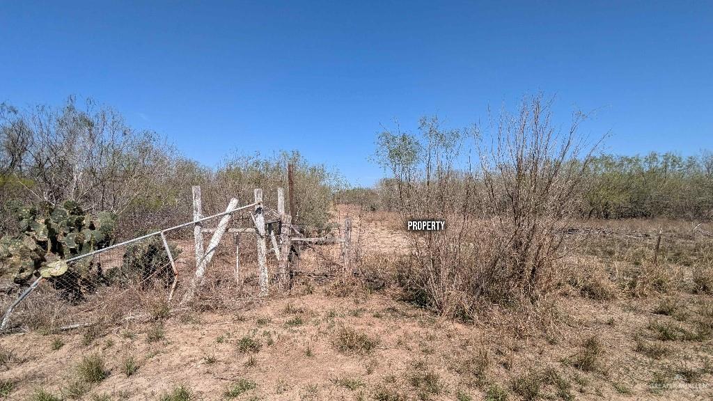 29101 Mile 17 1/2 Road, Edinburg, Texas image 18