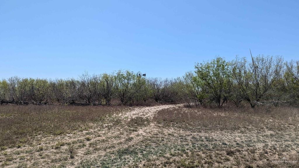 29101 Mile 17 1/2 Road, Edinburg, Texas image 42