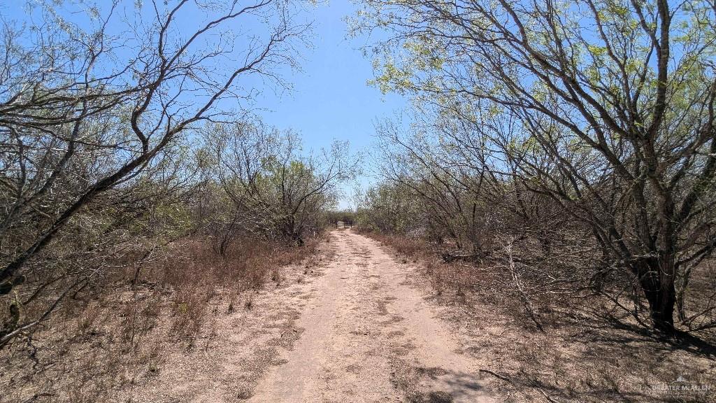 29101 Mile 17 1/2 Road, Edinburg, Texas image 27