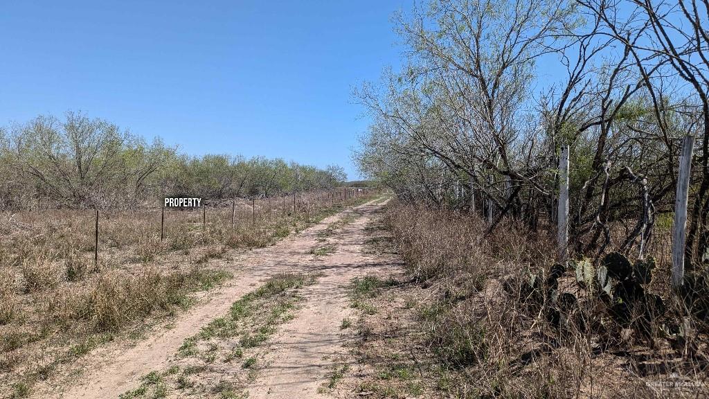 29101 Mile 17 1/2 Road, Edinburg, Texas image 19