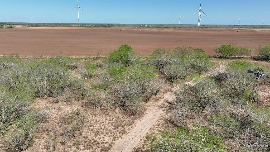29101 Mile 17 1/2 Road, Edinburg, Texas image 34