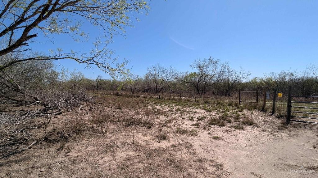 29101 Mile 17 1/2 Road, Edinburg, Texas image 26