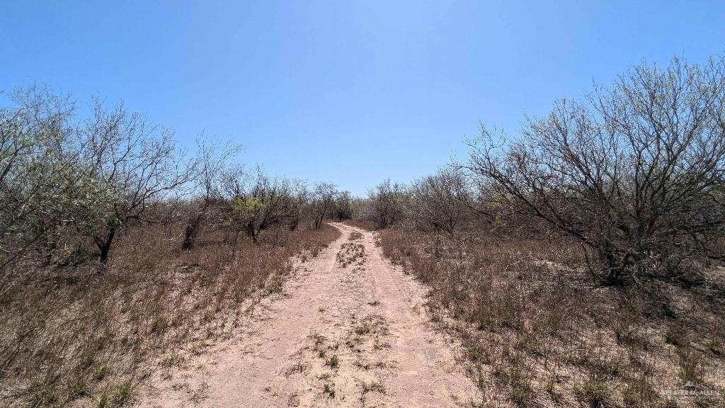 29101 Mile 17 1/2 Road, Edinburg, Texas image 38