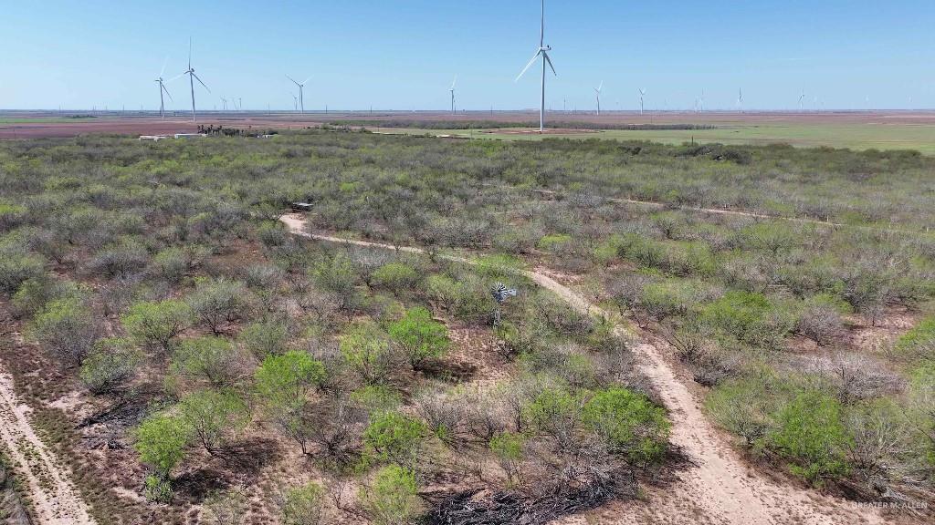 29101 Mile 17 1/2 Road, Edinburg, Texas image 44