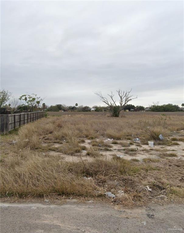 3805 Wolverine Road, San Juan, Texas image 1