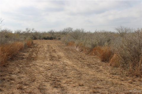 Vacant Land For Sale - Private<br/> Brooks County, Encino, TX 78353