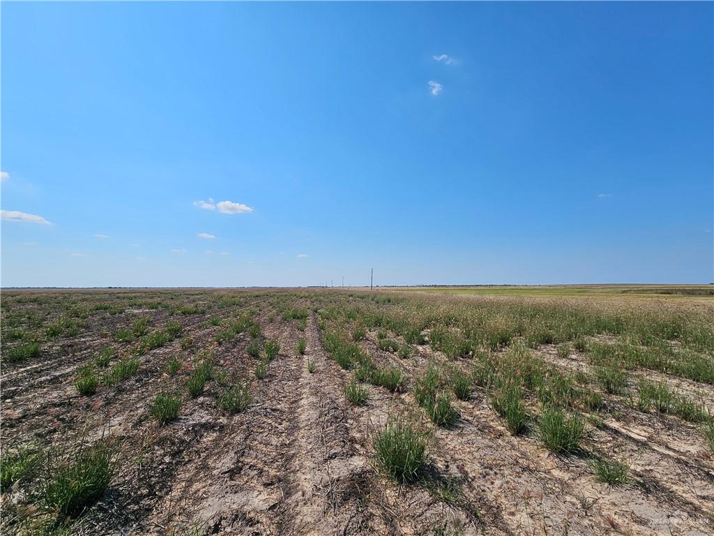 N/A Turner Road, Lyford, Texas image 3