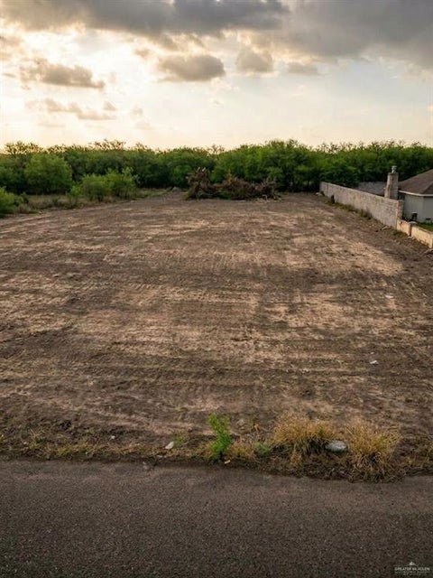 Vacant Land For Sale - 00 Shady Grove Drive<br/> Starr County, Rio Grande City, TX 78582