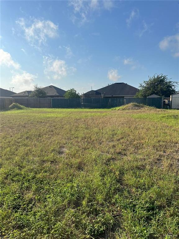 731 San Martin Street, San Juan, Texas image 1