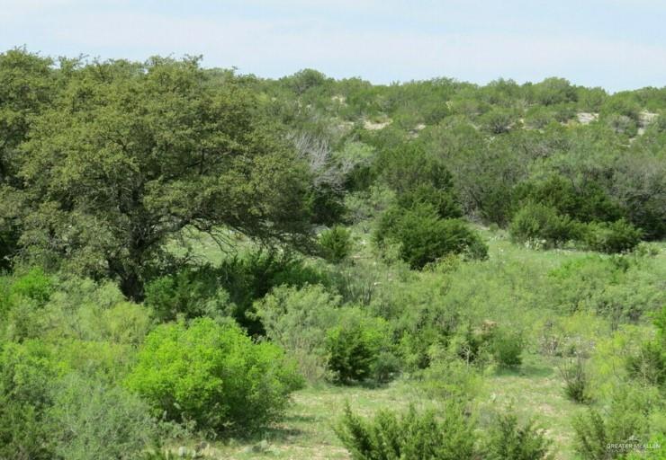 0000-3 San Julian Road, Roma, Texas image 1