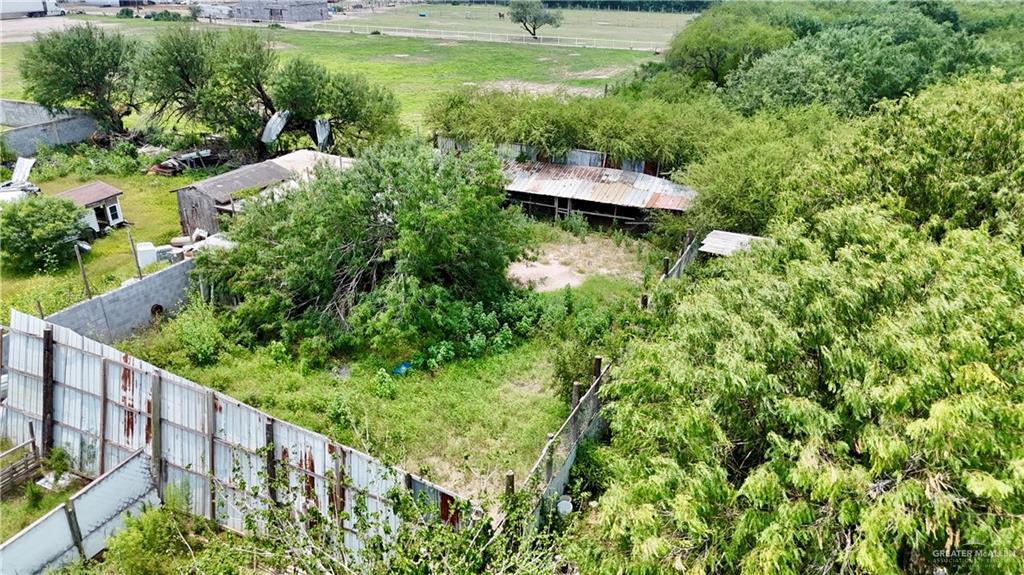 137 E Crockett Avenue, Alamo, Texas image 4