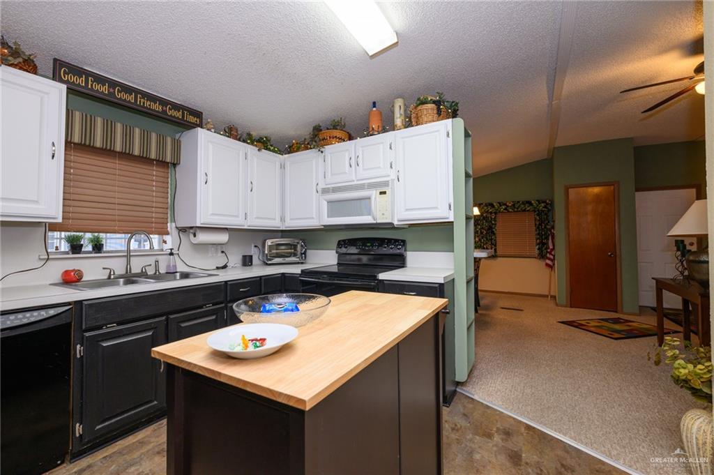 25398 Goldenrod Lane, Harlingen, Texas image 10