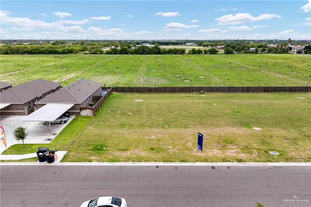 820 W Sunset Valley Street, Alton, Texas image 1