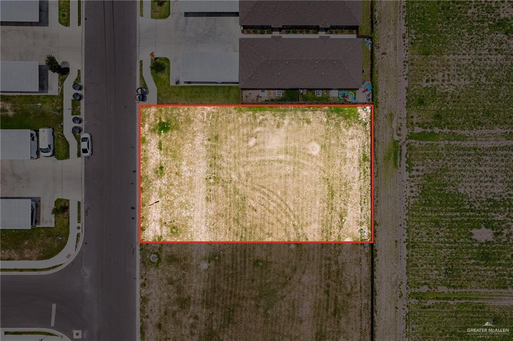 820 W Sunset Valley Street, Alton, Texas image 2