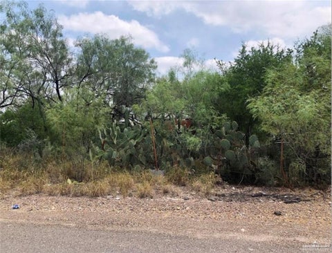Vacant Land For Sale - 00 N Ebony Avenue<br/> Roma, TX 78584