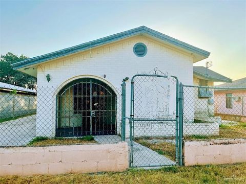 Homes For Sale - 50 Willow Avenue<br/> Starr County, Roma, TX 78584