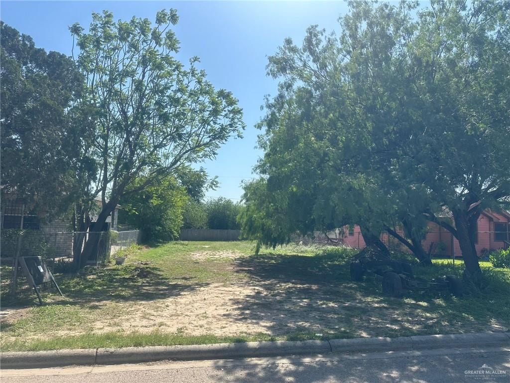 2411 Ala Blanca Avenue, Mission, Texas image 1