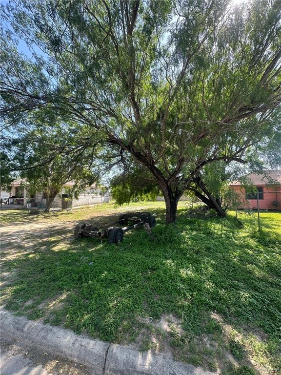 2411 Ala Blanca Avenue, Mission, Texas image 2